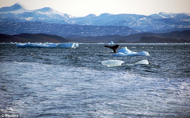 Kamp: FN forventes å gjennomgå Russlands krav på landet, som insisterer på at to undervannshyller som strekker seg mot Nordpolen tilhører dens kontinentalsokkel, i februar