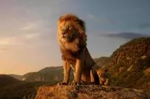 Lion king Movie Review: Despite Shah Rukh-Aryan Pairing, Film Lacks Original’s Emotion