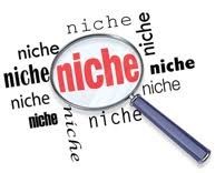 niches-fiscales