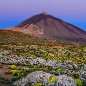Tenerife vacation travel guide 2021