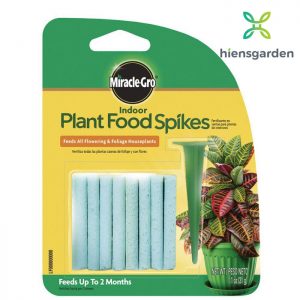 Que dinh dưỡng cho cây trồng Miracle-Gro Indoor Plant Food Spikes (Mỹ)
