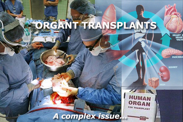 Know About Legal and Ethical Risk of Organ Transplants