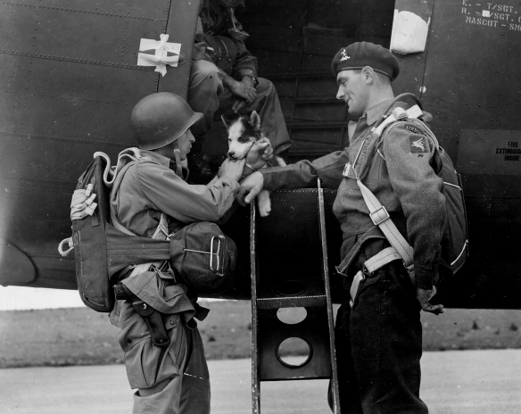 british-series-wwii-british-paratrooper-with-us-airborne-officer-and-dog-mascot-dday-drop-060544-1-of-1