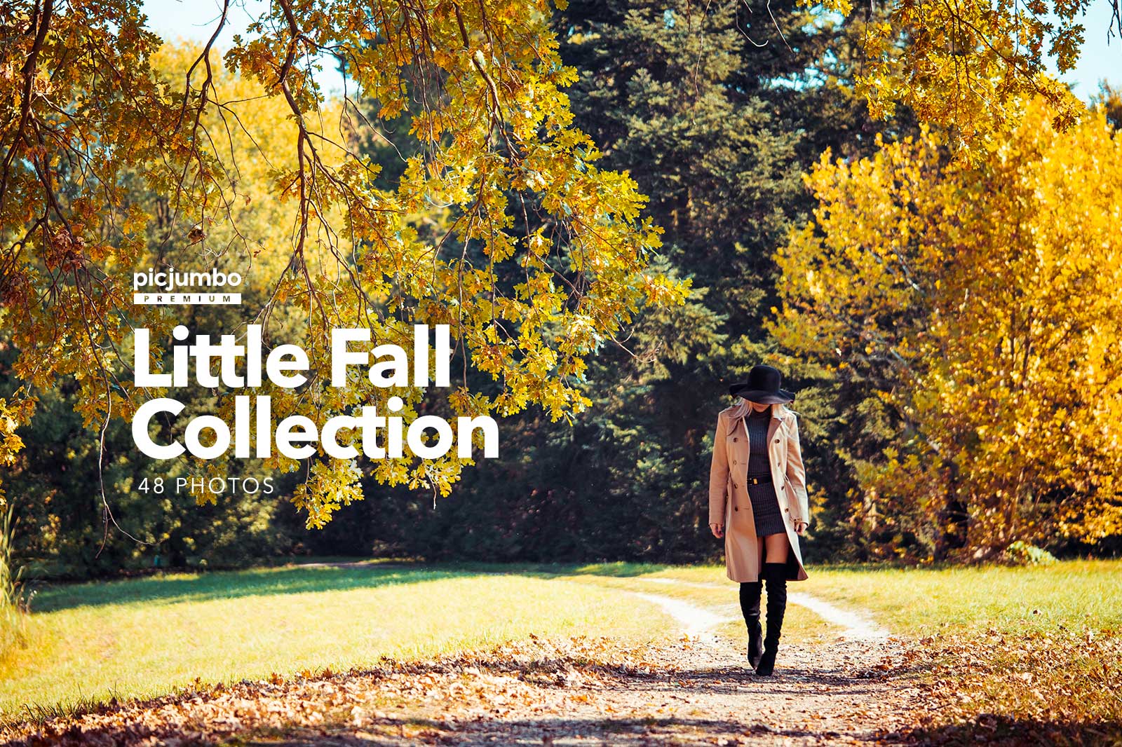 Little Fall Collection