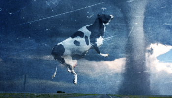 How They Made A Cow Fly Through A Tornado In 'Twister'