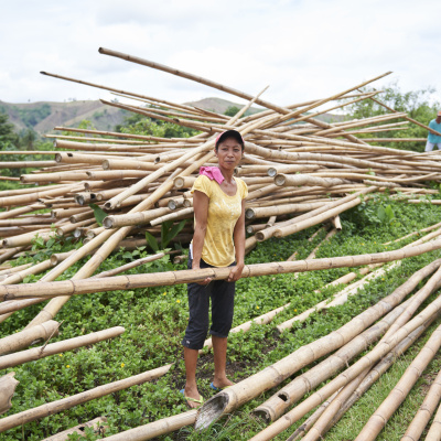 Wiederaufbau in den Philippinen nach dem Wirbelsturm Hayan, Solidar Suisse