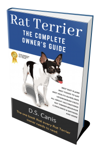 Rat-Terrier-Book-Cover-(Actual-eBook-Cover)
