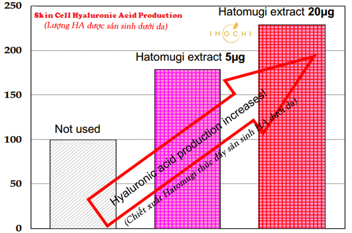 Biểu đồ thể hiện mức sản sinh HA khi dùng Lotion Naturie Hatomugi