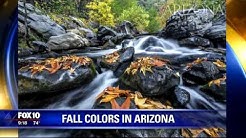 Where to go in Arizona to see beautiful fall colors