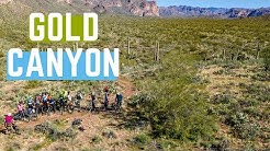 Gold Canyon, AZ | Cacti and blood and SkyNet! | 01/12/2020