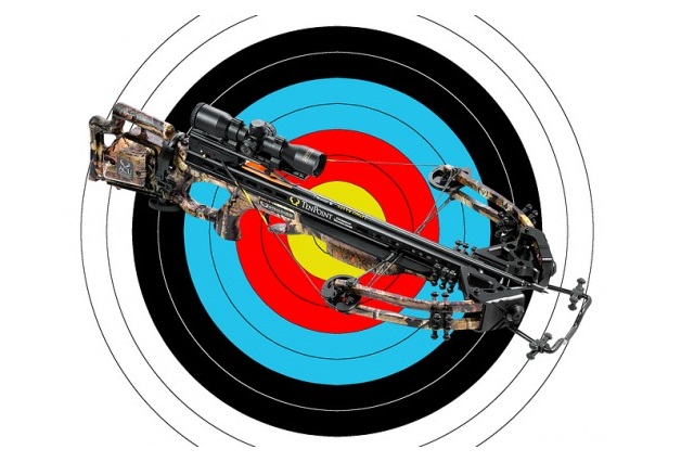 What Are The Laws Of Crossbow Hunting In The UK? - Fishing & Hunting