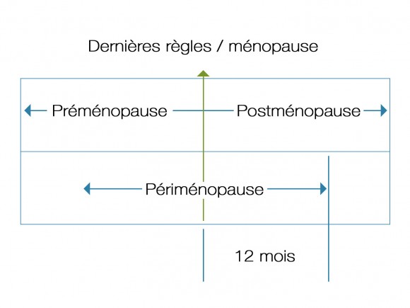Ménopause : le niveau hormonal avant et après la ménopause