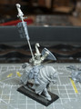 Knight of the Realm Banner Bearer 