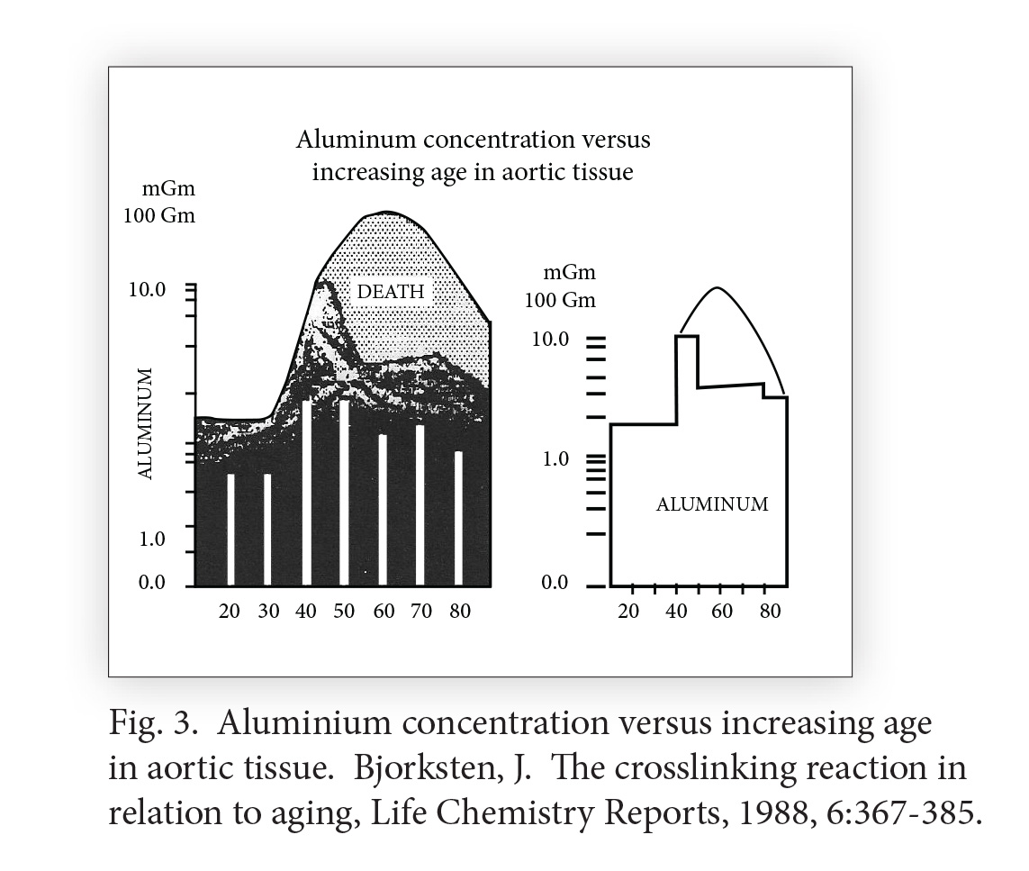 Aluminum concentration versus increasing age in aortic tissue. Bjorksten, J. The crosslinking reaction in relation to aging, Life Chemistry Reports, 1988, 6:367-385.