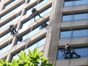 3_Window_Washers_-_Cleaning_the_Westlake_Center_Office_Tower