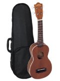 Top-Rated Ukulele for Beginners