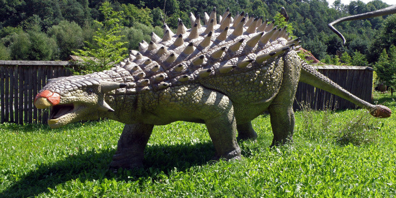 ankylosaure,cousin du stégosaure
