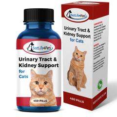 Cat UTI Urinary Tract Infection Medicine