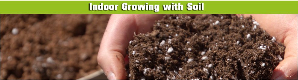 Growing plants in soil