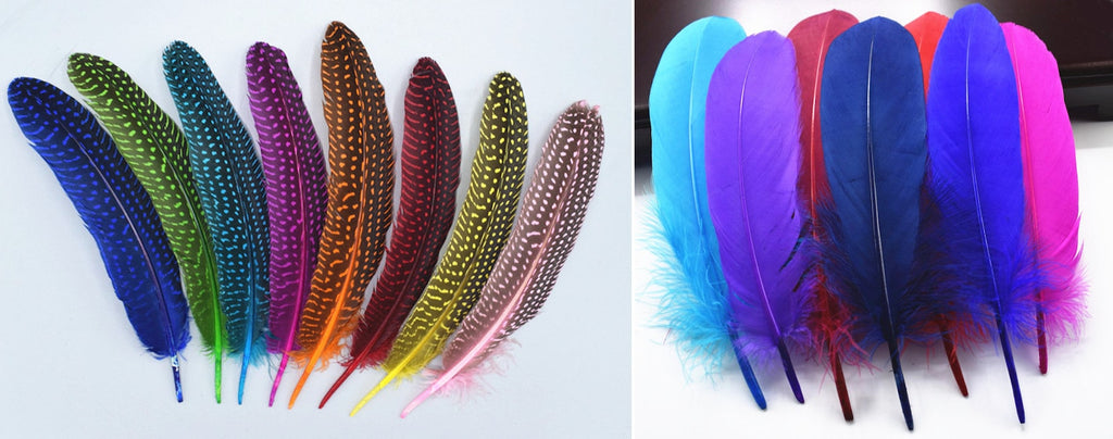 coloration plumes