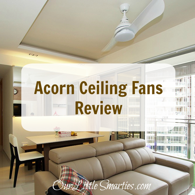Acorn Ceiling Fans Review