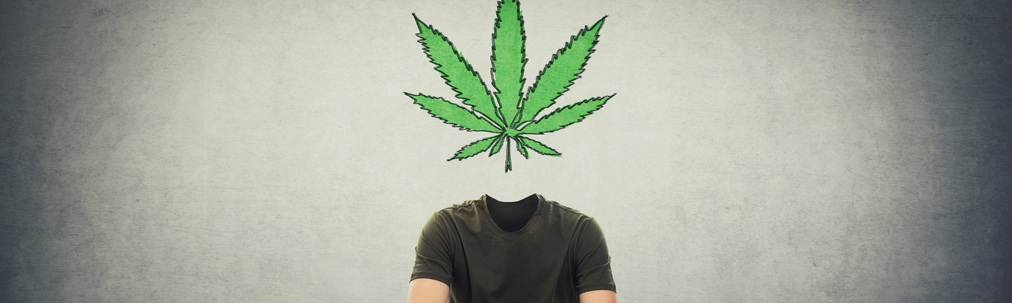 France Cannabis Légalisation