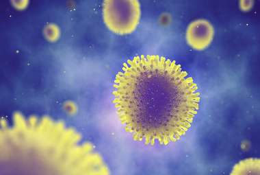 Influenza viruses use their spike proteins to roll around the human body like wheels powered by an engine. (Shutterstock)
