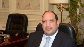 نائب بـ«الشيوخ»: تقرير الأمم المتحدة في مصر يوضح حجم الإنجازات والإصلاحات