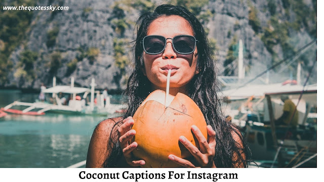 151+ Coconut Captions For Instagram [ 2021 ] Also Quotes