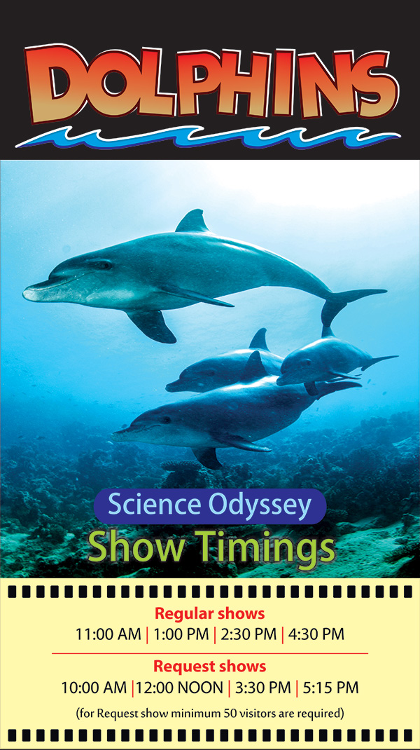 Odyssey-Dolphins-Eng.jpg