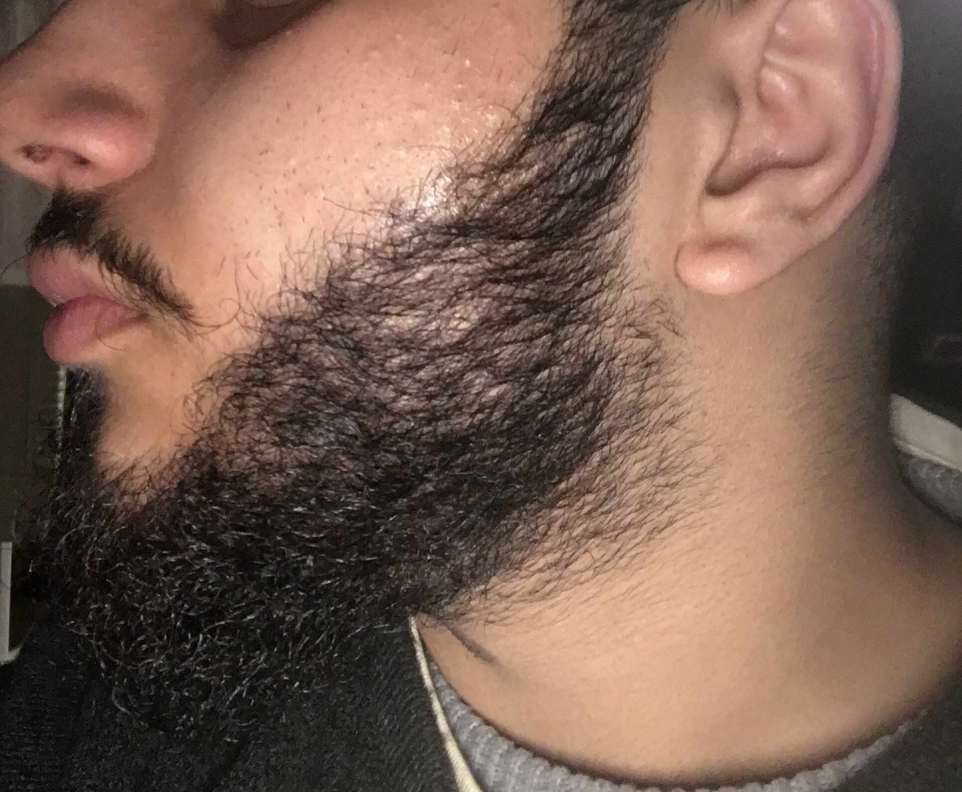 19 y/o have to fix up my beard (4 months old) for a passport photo, what style should i take up? | 胡须  A片 | Hot XXX Gays