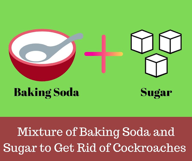 home remedies for roaches baking soda