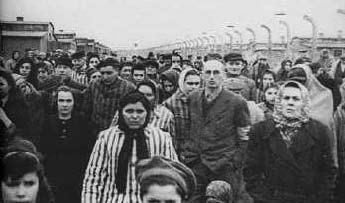 Auschwitz wie es wirklich war
