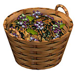 grape basket