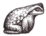 Жаба — символ богатства и бессмертия