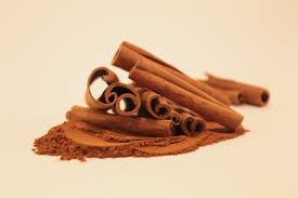 cinnamon oil making business in india
