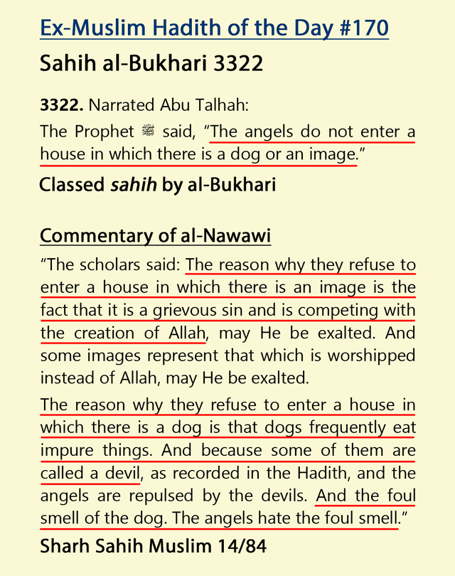 r/exmuslim - HOTD 170: “The angels do not enter a house in which there is a dog or an image”