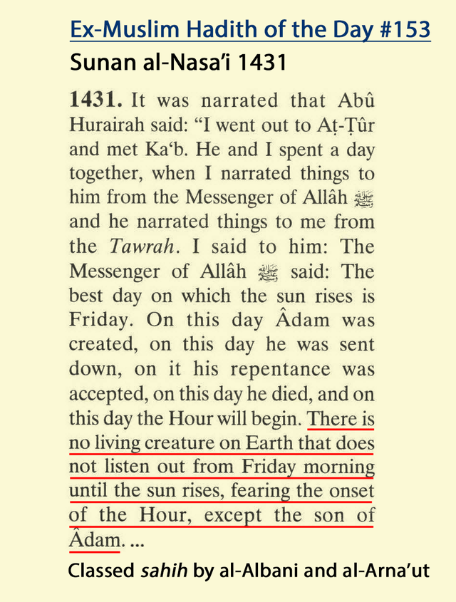 r/exmuslim - HOTD 153: Muhammad says every Friday, all animals fear the End of the World is upon us. Their fear subsides once the sun rises (in the east 😉)
