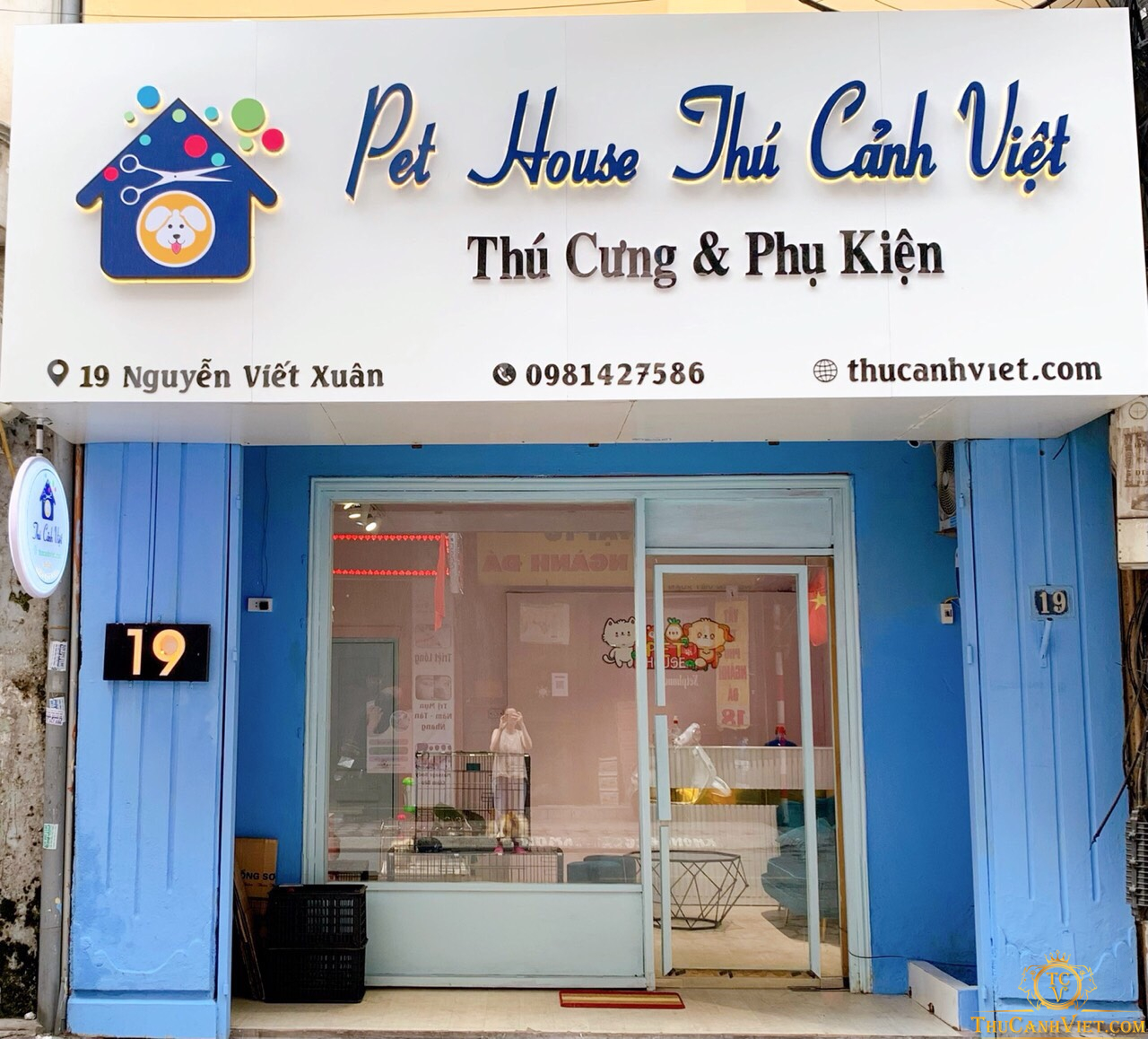 Địa chỉ mua chó Phốc sóc uy tín ở Hà Nội, Hồ Chí Minh