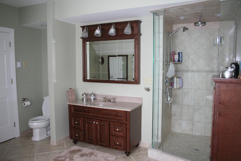 Glamour bathroom created by Nest Homes Construction in Bratenahl Ohio.