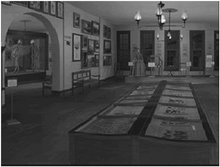 Figure 10 View of The Lost Museum 's 'Second Salon' or 'Picture Gallery'.