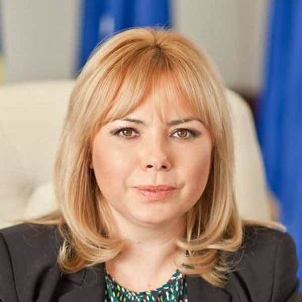 Anca Dragu Senator, Parlamentul României 