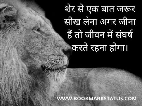 -status on lion