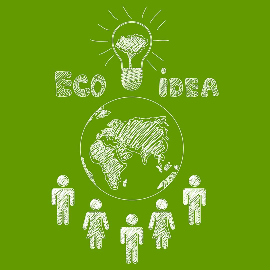Ecofriendly & Biodegradable Alternatives to Plastic