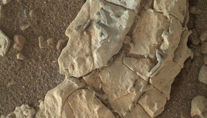 НАСА скрывает доказательства внеземной жизни на Марсе, заявил ученый
