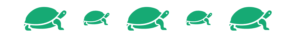divider-turtle