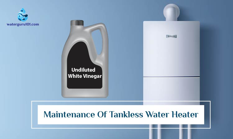 Maintenance of tankless water heater tips and procedure