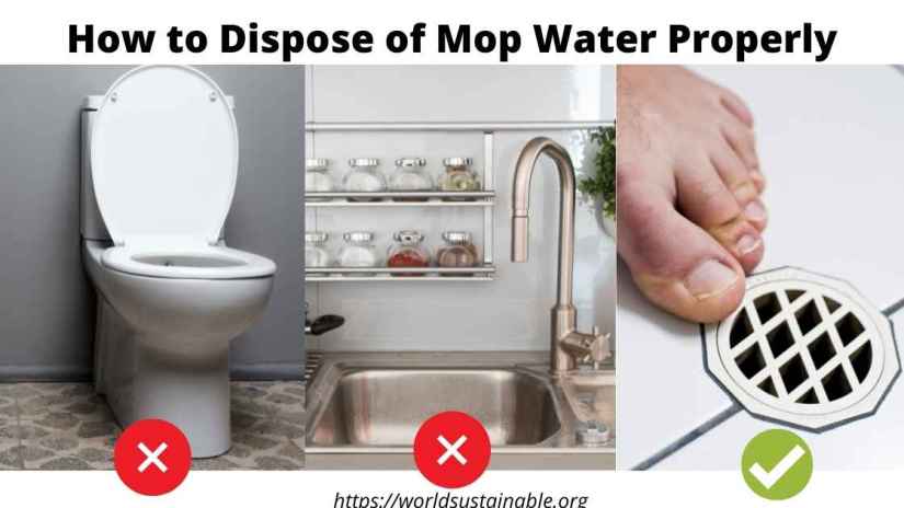 how-to-get-rid-of-mop-water