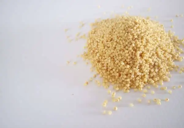 grains de millet sur une table 