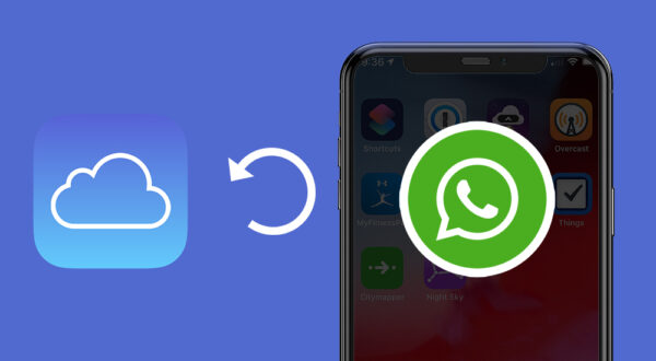 Learn How To Restore WhatsApp From iCloud And What To Do If The Recovery Fails
